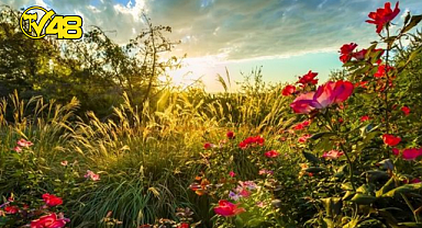 HIDIRELLEZ: BEREKETİN ŞİFANIN VE NİYETLERİN ORUCU