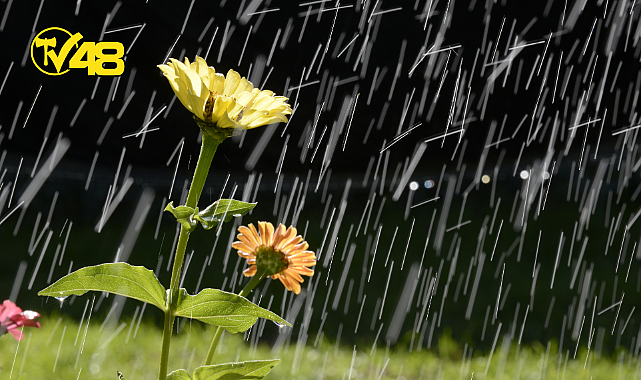 METEOROLOJİ&#039;DEN KUVVETLİ GÖK GÜRÜLTÜLÜ SAĞANAK YAĞIŞ UYARISI