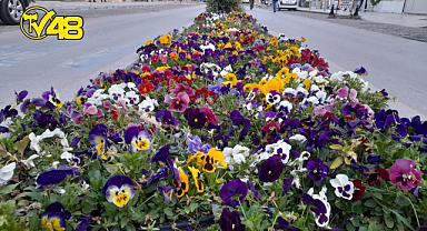 MİLAS SOKAKLARINA BAHAR GELDİ...
