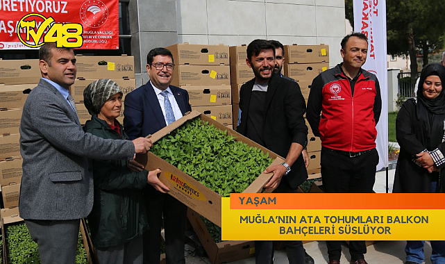 MUĞLA’NIN ATA TOHUMLARI BALKON BAHÇELERİ SÜSLÜYOR