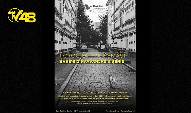 “SAHİPSİZ HAYVANLAR VE ŞEHİR ” FOTOĞRAF YARIŞMASINA SİZDE KATILIN