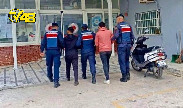 YATAĞAN&#039;DA ZEYTİNYAĞI HIRSIZLIĞI YAPAN ŞÜPHELİLER YAKALANDI!