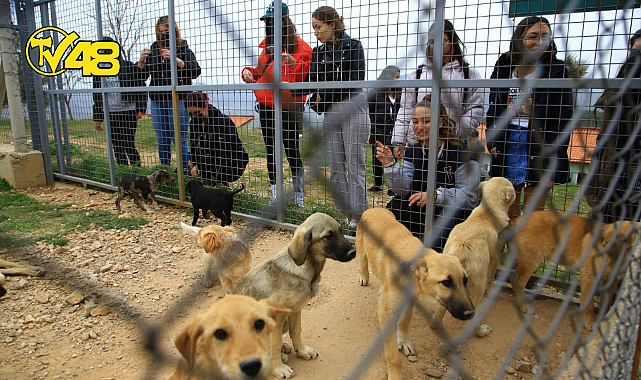 BÜYÜKŞEHİR GEÇİCİ HAYVAN BAKIMEVİ CAN DOSTLAR İÇİN ÇALIŞIYOR