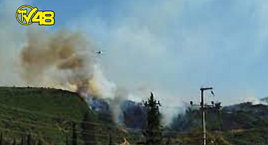 AYDIN SÖKE'DE ÇIKAN YANGIN KONTROL ALTINA ALINDI