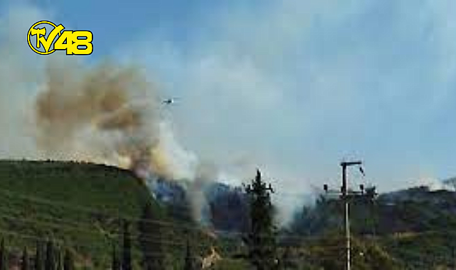 AYDIN SÖKE&#039;DE ÇIKAN YANGIN KONTROL ALTINA ALINDI