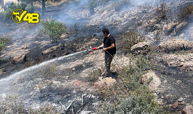 BODRUM&#039;DA  MAKİLİK ALANDA YANGIN