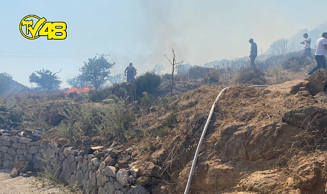 BODRUM PEKSİMET&#039;TE ÇIKAN YANGINDA 2 HEKTARLIK ALAN ZARAR GÖRDÜ
