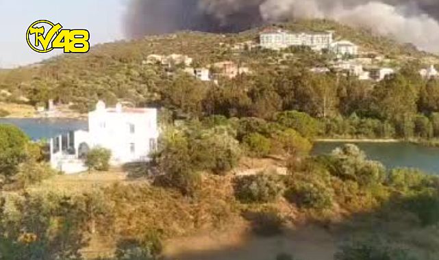 DATÇA/KARGI&#039;DA ORMAN YANGINI BAŞLADI!