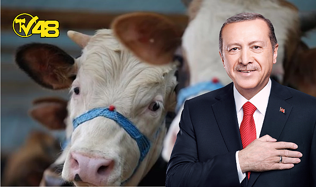 ERDOĞAN&#039;DAN BAYRAM TATİLİ MÜJDESİ: 9 GÜN!