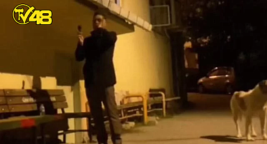 EZAN OKUYAN MÜEZZİNE EŞLİK EDEN KÖPEK BÖYLE GÖRÜNTÜLENDİ