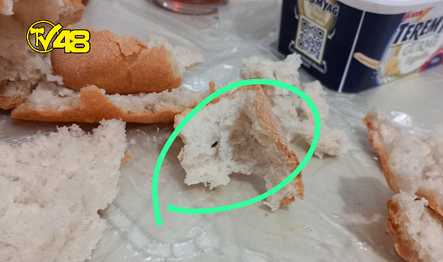 FIRINDAN ALINAN EKMEĞİN İÇİNDEN BÖCEK ÇIKTI!!