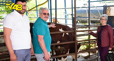 HAYTAP SAMSUN İL TEMSİLCİLİĞİ BİR İLKE İMZA ATTI! ACISIZ KESİM BAŞLADI