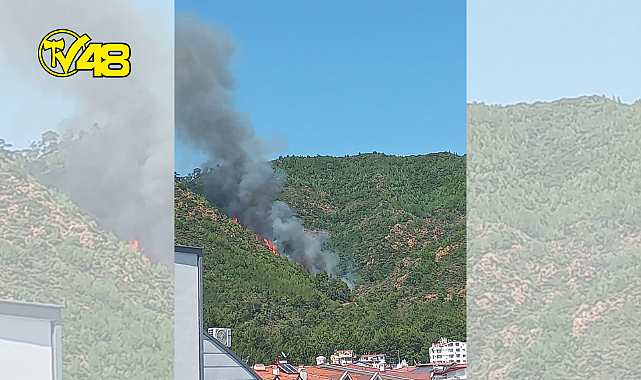 MARMARİS MERKEZ, SARIANA BÖLGESİNDE ORMAN YANGINI