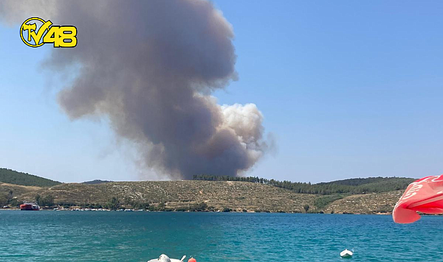 BODRUM&#039;UN BOĞAZİÇİ MAHALLESİNDE MEYDANA GELEN ORMAN YANGININA İLİŞKİ