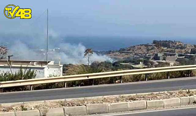 BODRUMDA 2 FARKLI YERDE YANGIN ÇIKTI