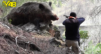 DOMUZ AVINA GİDEN İMAM HAYATINI KAYBETTİ