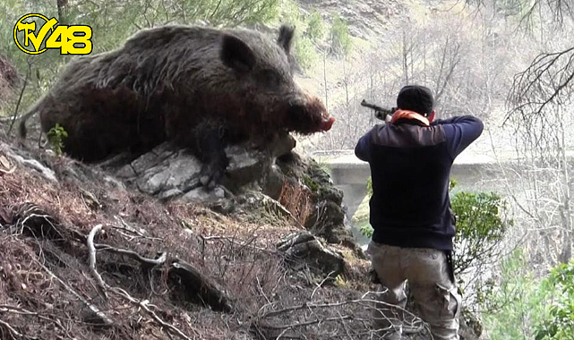 DOMUZ AVINA GİDEN İMAM HAYATINI KAYBETTİ