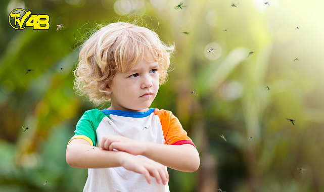 DSÖ&#039;DEN DANG VİRÜSÜ UYARISI