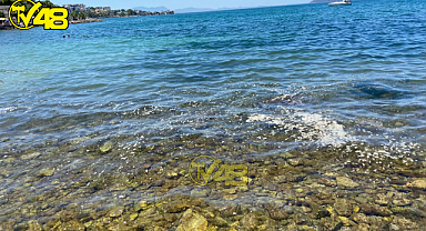 ETİBANK PLAJI MİKROP SAÇIYOR!