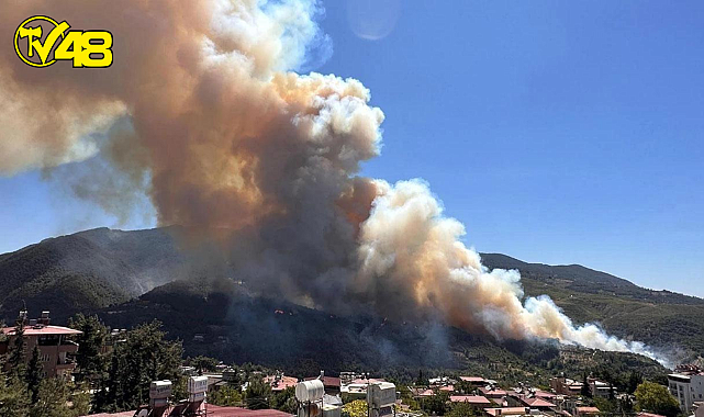 HATAY BELEN&#039;DE ORMAN YANGINI ÇIKTI