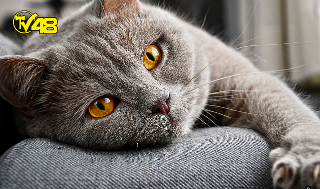 İYİ HİSSETMENİN YOLLARI NELERDİR?