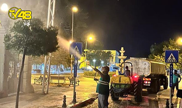 MİLAS BELEDİYE EKİPLERİ GECE SAATLERİNDE DEFNE AĞAÇLARINI İLAÇLADI