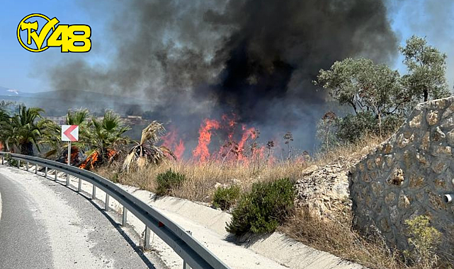 MİLAS - BODRUM HAVALİMANI KAVŞAĞINDAKİ YANGINA MÜDAHALE EDİLİYOR