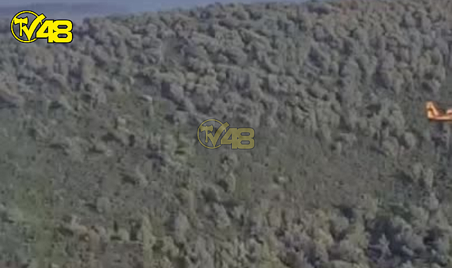 MİLAS BOĞAZİÇİN&#039;DE MEYDANA GELEN YANGIN KONTROL ALTINA ALINDI