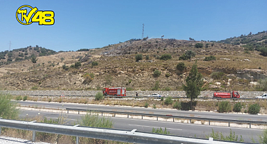 MİLAS ESKİ DEVLET HASTANESİ KARŞISINDA YANGIN!