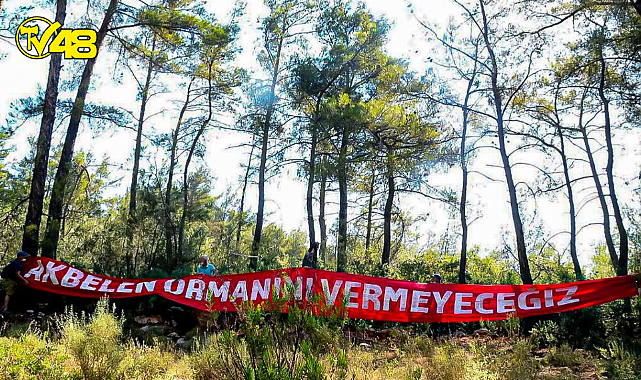 SABAH AKBELEN ORMANI&#039;NA &#039;&#039;KESİM MOTORLARI İLE GİRİP ÇAMLARI KESMEYE BAŞLADILAR&#039;&#039;