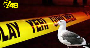 SICAKTAN BUNALIP MARTILARA POMPALI TÜFEKLE ATEŞ AÇTI (5 YARALI)