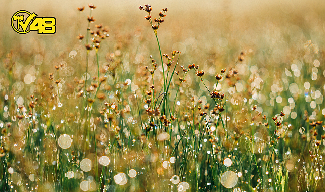 BASİT VE ANLAMLI BİR HAYAT İÇİN 10 İPUCU