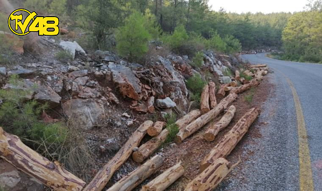 BİRLEŞMİŞ MİLLETLER, AKBELEN İÇİN LİMAK VAKFI İLE İLİŞKİLERİNİ BİTİRDİ