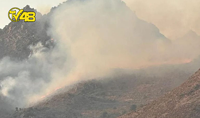 BODRUM/AKYARLAR&#039;DA MAKİLİK ALANDA YANGIN BAŞLADI