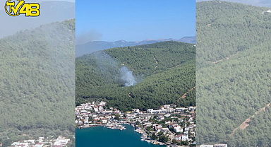 BODRUM GÜVERCİNLİK'TE ORMANLIK ALANDA YANGIN