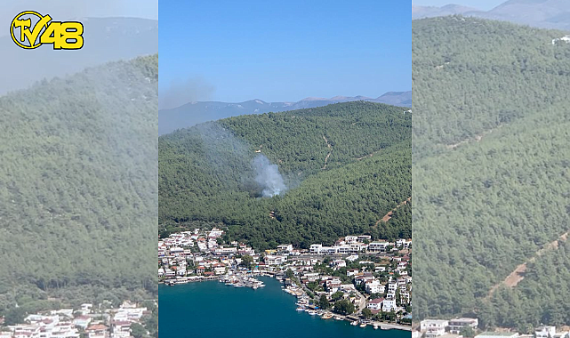 BODRUM GÜVERCİNLİK&#039;TE ORMANLIK ALANDA YANGIN