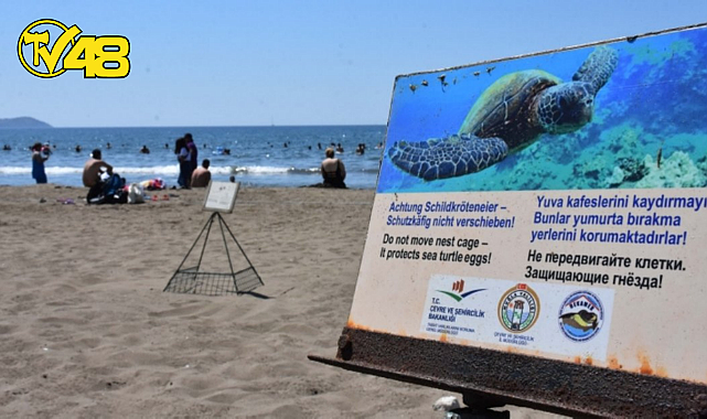 İZTUZU PLAJI&#039;NDA CARETTA CARETTALAR DENİZLE BULUŞTU