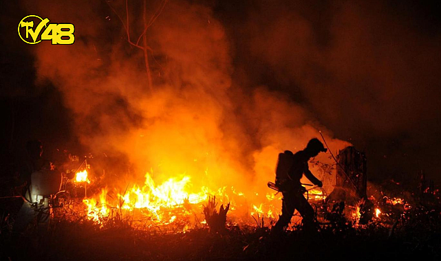 KORU SANAYİSİ ARKASINDA YANGIN!