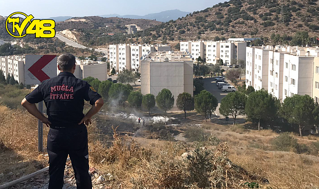 MİLAS TOKİ KONUTLARININ YANINDAKİ MAKİLİK ALANDA YANGIN ÇIKTI!