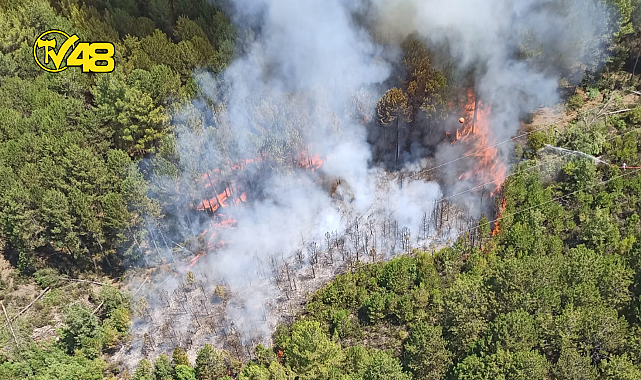 MUĞLA ULA&#039;DA ORMAN YANGINI
