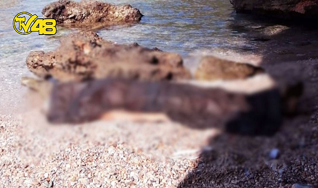 ULA SAHİLİNDE TEK BAŞINA KAMP YAPAN VATANDAŞ ÖLÜ HALDE  BULUNDU!