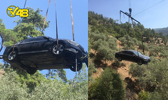 UYKUYA DALAN ŞOFÖR GÖZÜNÜ AÇTIĞINDA KENDİSİNİ ZEYTİNLİĞİN İÇİNDE BULDU!