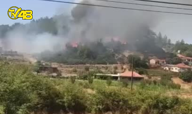 YATAĞAN BENCİK MAHALLESİ HATIPDERESİ MEVKİİNDE YANGIN!!