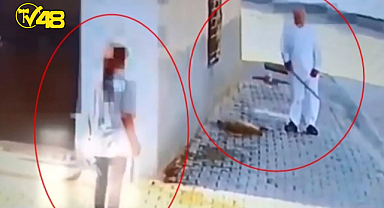 YAVRU KÖPEĞE İŞKENCE EDEN CANİ ŞAHIS GÖZALTINA ALINDI