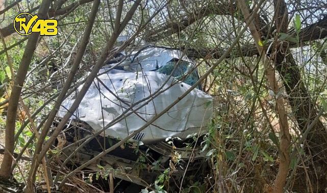YOLA ATLAYAN SOKAK KÖPEĞİ 4 KİŞİYİ CANINDAN ETTİ!