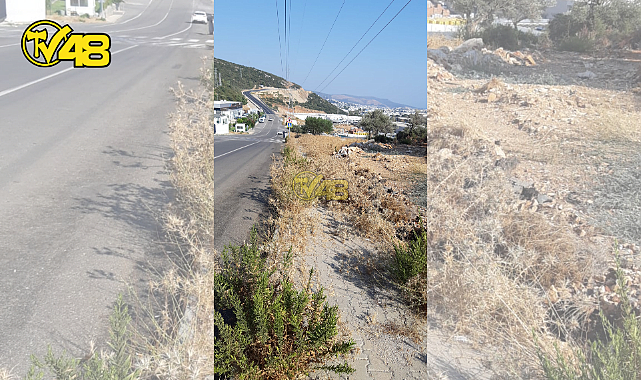 BODRUM DOĞA KOLEJİ KARŞISINDAKİ KALDIRIM DİKENLİ OTLARLA DOLU! VATANDAŞLAR TEHLİKEDE