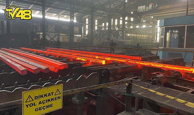 ÇELİK SEKTÖRÜ TÜRKİYE’NİN SERA GAZI EMİSYONLARININ YÜZDE 7’SİNDEN SORUMLU