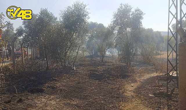MİLAS KIRCAĞIZ MAHALLESİNDE ORMAN YANGINI ÇIKTI