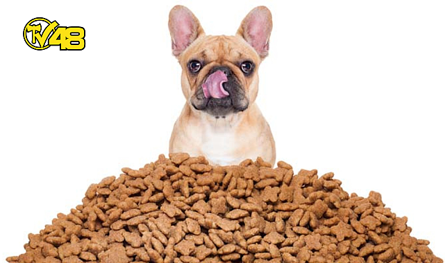 TÜRK VETERİNER HEKİMLERDEN BİLİMSEL MAMA