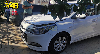 MİLAS'TA ÖZ KARDEŞİNE KAZA SONUCU ÇARPAN ŞOFÖR HASTANEYE KALDIRILDI!